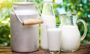Россельхознадзор вновь ограничил поставки «молочки» из Беларуси