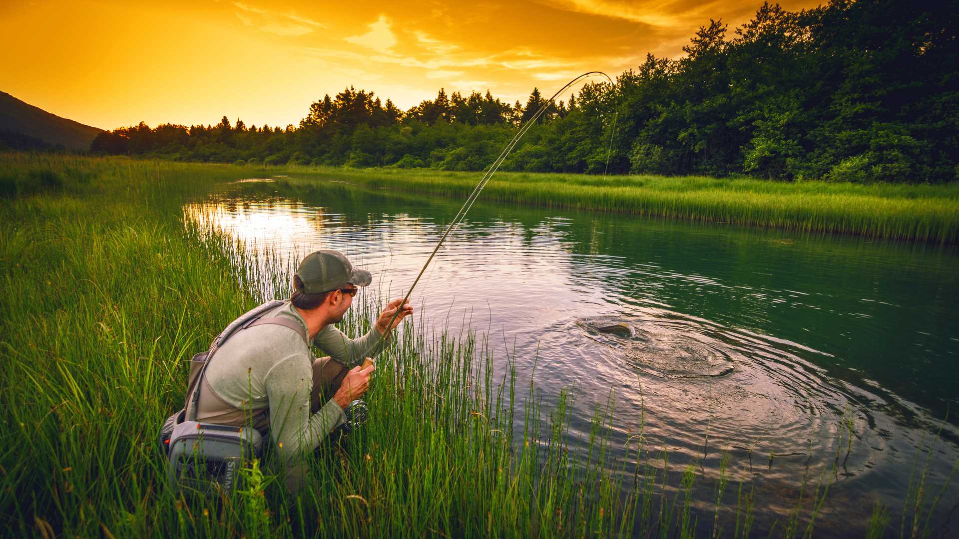 В  меняются правила любительской рыбалки | БДГ Деловая газета